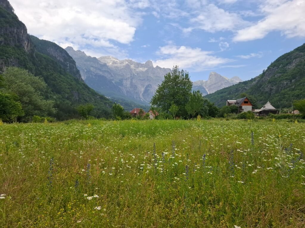 WhatsApp Image 2025-11-23 at 7.23.03 PM(1)